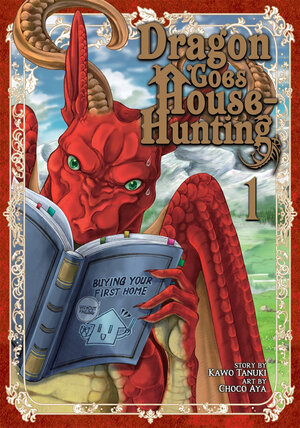 Dragon Goes House-Hunting vol 01 GN Manga 