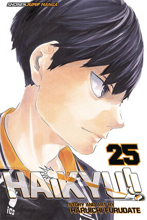 Haikyuu!! vol 25 GN Manga