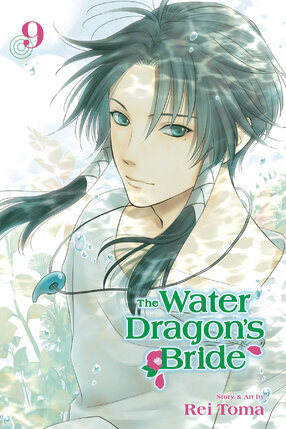 Water Dragon's Bride vol 09 GN Manga