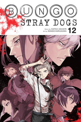 Bungou Stray Dogs vol 12 GN Manga