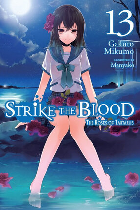 Strike the Blood Novel vol 13