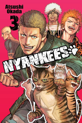 Nyankees vol 03 GN Manga