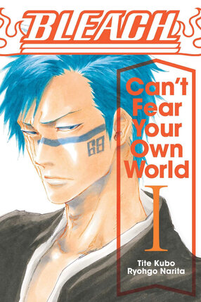 Bleach: Can't Fear Your Own World vol 01 Light Novel