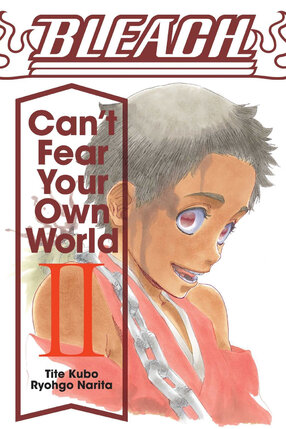 Bleach: Can't Fear Your Own World vol 02 Light Novel