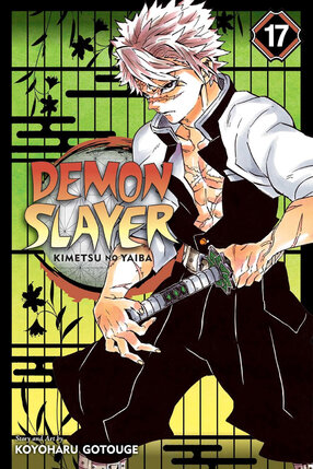 Demon Slayer: Kimetsu no Yaiba vol 17 GN Manga