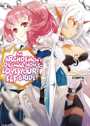 Archdemons Dilemma How to love your elf bride vol 05 Light Novel