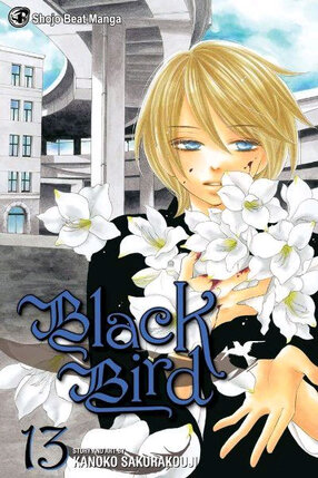 Black bird vol 13 GN