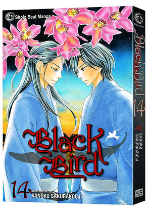 Black bird vol 14 GN