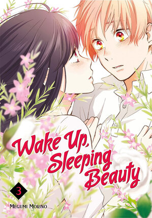 Wake Up, Sleeping Beauty vol 03 GN Manga