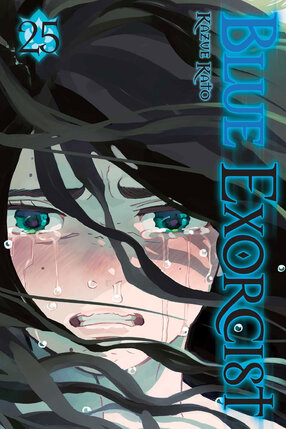 Blue Exorcist vol 25 GN Manga