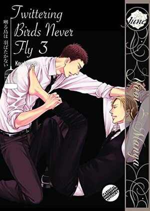 Twittering Birds never fly vol 03 GN Yaoi Manga