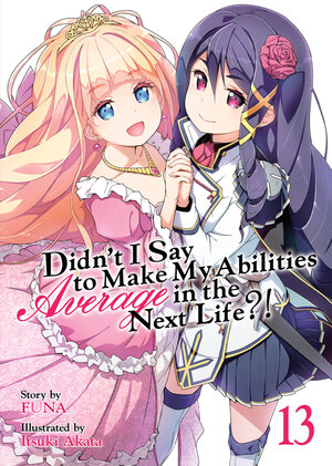 Didn't I Say to Make My Abilities Average in the Next Life?! vol 13 Light Novel