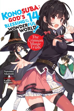 Konosuba God's Blessing on This Wonderful World! vol 14 Light Novel