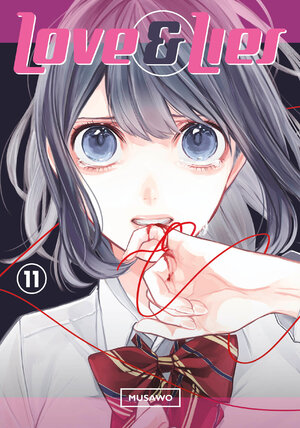 Love and Lies vol 11 GN Manga