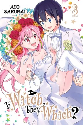 If Witch, Then Which? vol 03 GN Manga