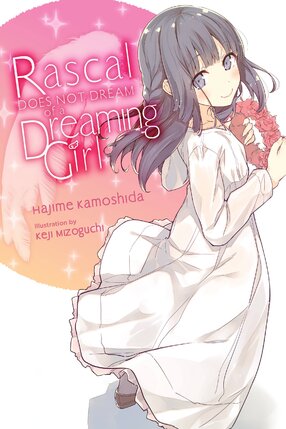 Rascal Does Not Dream of a Dreaming Girl vol 06 Light Novel