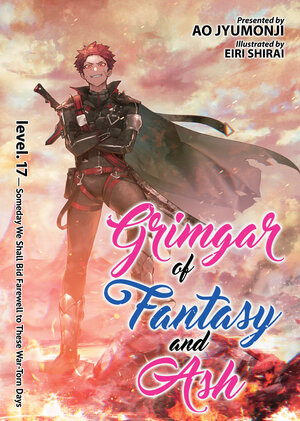 Grimgar of Fantasy and Ash vol 17 Light Novel