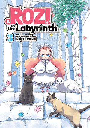 Rozi in the labyrinth vol 03 GN Manga