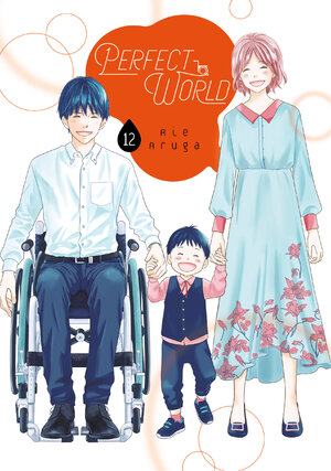 Perfect World vol 12 GN Manga