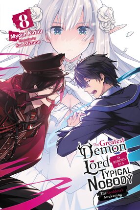 Greatest Demon Lord Is Reborn as a Typical Nobody vol 08 Light Novel