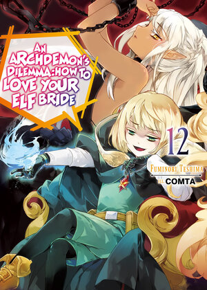 Archdemons Dilemma How to love your elf bride vol 12 Light Novel