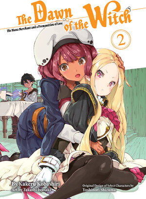 The Dawn of the Witch vol 02 Light Novel