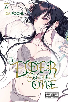 The Elder Sister-Like One vol 06 GN Manga