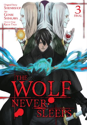 The Wolf Never Sleeps vol 03 GN Manga