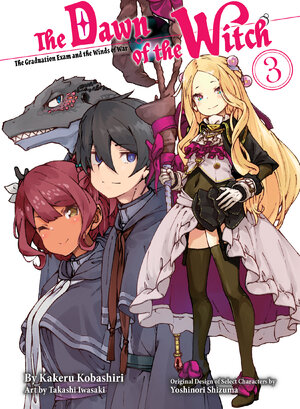 The Dawn of the Witch vol 03 Light Novel