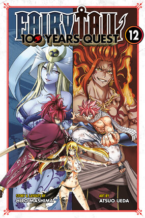 Fairy Tail 100 Years Quest vol 12 GN Manga