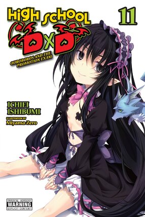 High School DxD vol 11 Light Novel