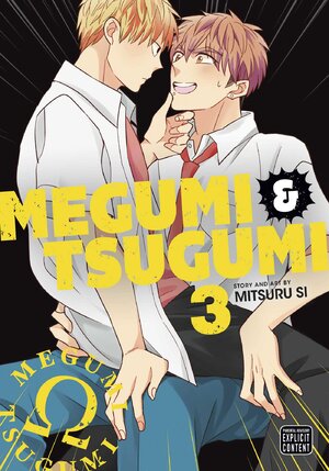 Megumi & Tsugumi vol 03 GN Manga