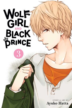 Wolf Girl and Black Prince vol 03 GN Manga