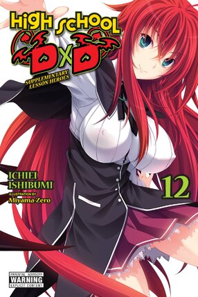 High School DxD vol 12 Light Novel