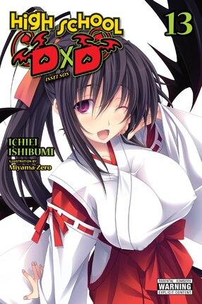 High School DxD vol 13 Light Novel