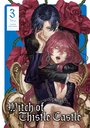 Witch Of Thistle Castle Vol 03 GN Manga