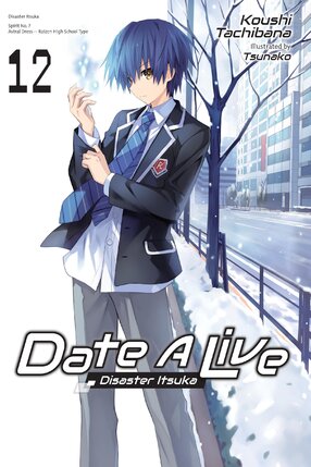 Date a Live vol 12 Light Novel