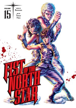 Fist of the North Star vol 15 GN Manga HC