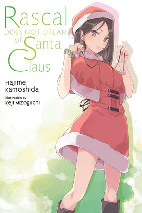 Rascal Does Not Dream of Santa Claus vol 13 Light Novel