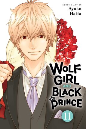 Wolf Girl and Black Prince vol 11 GN Manga