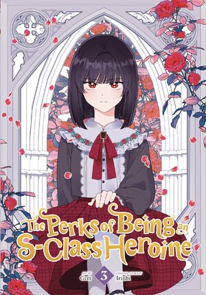 The Perks of Being an S-Class Heroine vol 03 GN Manhwa