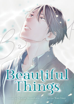 Beautiful Things: The Complete Manga Collection GN Manga