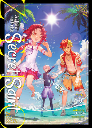 A Tale of the Secret Saint ZERO vol 02 Light Novel