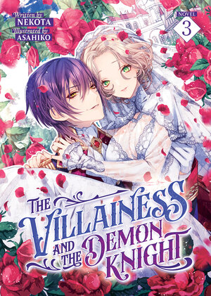 The Villainess and the Demon Knight vol 03 Light Novel