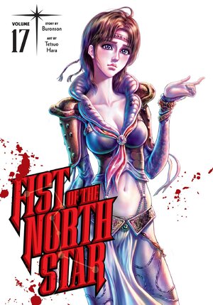 Fist of the North Star vol 17 GN Manga HC