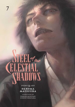 Steel of the Celestial Shadows vol 07 GN Manga