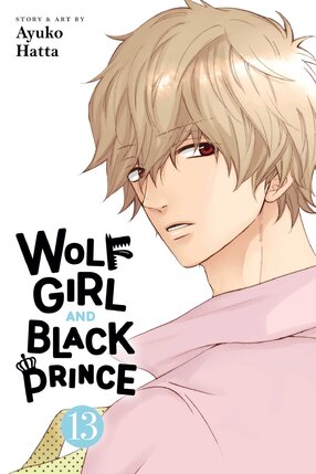Wolf Girl and Black Prince vol 13 GN Manga