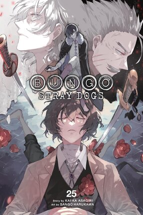 Bungo Stray Dogs vol 25 GN Manga