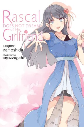 Rascal Does Not Dream vol 14 Light Novel
