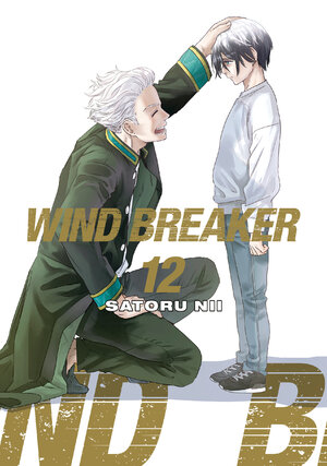 Wind Breaker vol 12 GN Manga
